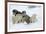 Siberian Husky Litter of Four Puppies in Snow-null-Framed Photographic Print