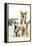 Siberian Husky Puppy Looking Up at Siberian-null-Framed Premier Image Canvas