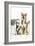 Siberian Husky Puppy Looking Up at Siberian-null-Framed Photographic Print