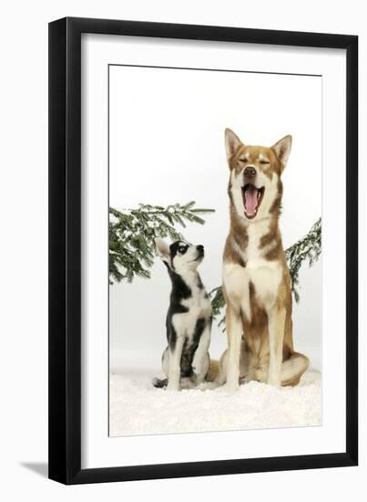 Photographic Print, , large