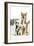 Siberian Husky Puppy Looking Up at Siberian-null-Framed Photographic Print