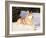 Siberian Husky Resting in Snow, USA-Lynn M. Stone-Framed Photographic Print