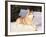 Siberian Husky Resting in Snow, USA-Lynn M. Stone-Framed Photographic Print