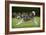 Siberian Husky Running Through Garden-null-Framed Photographic Print