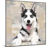 Siberian Husky-Keri Rodgers-Mounted Giclee Print