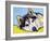 Siberian Husky-Dean Russo-Framed Giclee Print