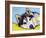 Siberian Husky-Dean Russo-Framed Giclee Print