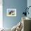 Siberian Husky-Dean Russo-Framed Giclee Print displayed on a wall