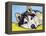 Siberian Husky-Dean Russo-Framed Premier Image Canvas