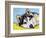 Siberian Husky-Dean Russo-Framed Giclee Print