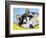 Siberian Husky-Dean Russo-Framed Giclee Print