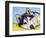 Siberian Husky-Dean Russo-Framed Giclee Print