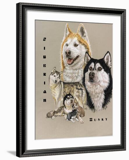 Siberian Husky-Barbara Keith-Framed Giclee Print