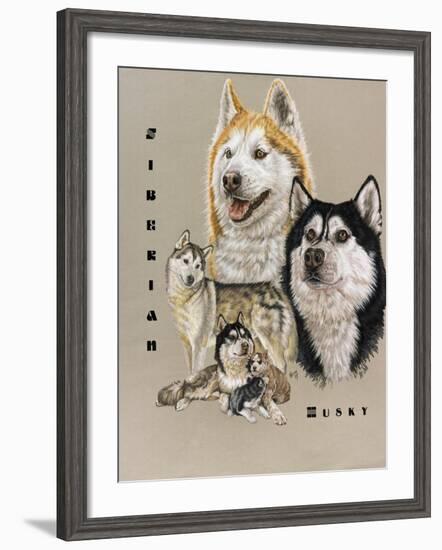 Siberian Husky-Barbara Keith-Framed Giclee Print