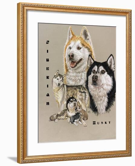 Siberian Husky-Barbara Keith-Framed Giclee Print