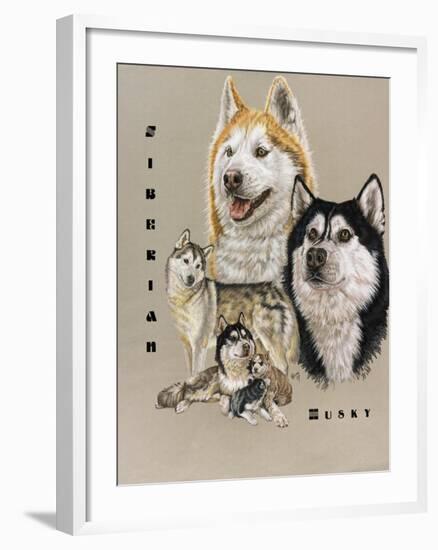 Siberian Husky-Barbara Keith-Framed Giclee Print