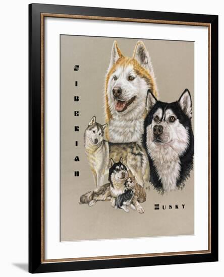 Siberian Husky-Barbara Keith-Framed Giclee Print