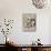 Siberian Husky-Barbara Keith-Mounted Giclee Print displayed on a wall