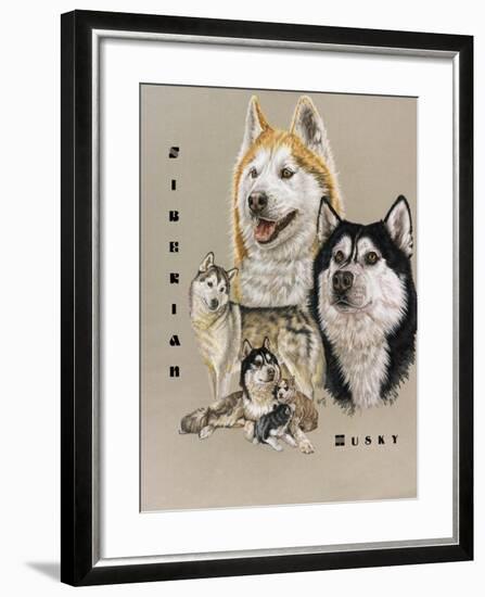 Siberian Husky-Barbara Keith-Framed Giclee Print