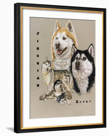 Siberian Husky-Barbara Keith-Framed Giclee Print