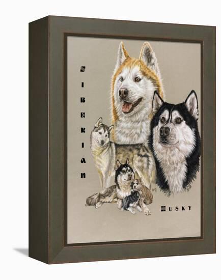 Siberian Husky-Barbara Keith-Framed Premier Image Canvas