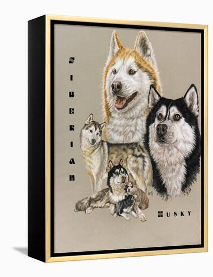 Siberian Husky-Barbara Keith-Framed Premier Image Canvas