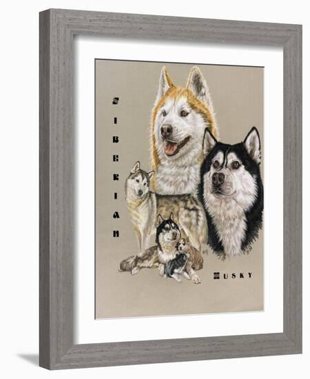 Siberian Husky-Barbara Keith-Framed Giclee Print