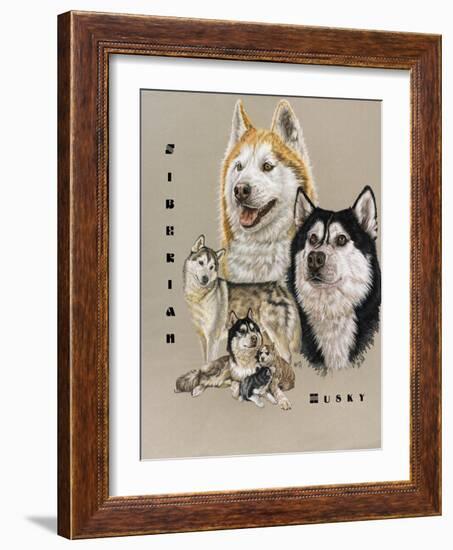 Siberian Husky-Barbara Keith-Framed Giclee Print