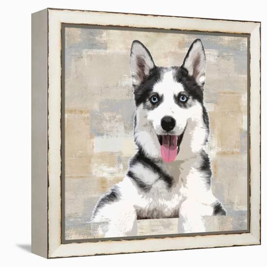 Siberian Husky-Keri Rodgers-Framed Stretched Canvas