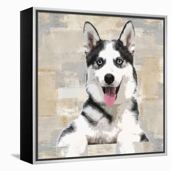 Siberian Husky-Keri Rodgers-Framed Stretched Canvas