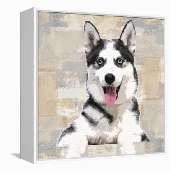 Siberian Husky-Keri Rodgers-Framed Stretched Canvas