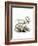 Siberian Reindeer-null-Framed Giclee Print