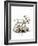 Siberian Reindeer-null-Framed Giclee Print