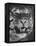 Siberian Tiger Covered in Storage at the American Museum of Natural History-Margaret Bourke-White-Framed Premier Image Canvas