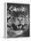 Siberian Tiger Covered in Storage at the American Museum of Natural History-Margaret Bourke-White-Framed Premier Image Canvas