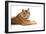 Siberian Tiger Isolated-fotoslaz-Framed Photographic Print