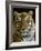 Siberian Tiger Male Portrait, Iucn Red List of Endangered Species-Eric Baccega-Framed Photographic Print