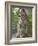 Siberian Tiger Mother with Young Cub Resting Between Her Legs-Edwin Giesbers-Framed Photographic Print