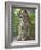 Siberian Tiger Mother with Young Cub Resting Between Her Legs-Edwin Giesbers-Framed Photographic Print