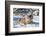 Siberian Tiger (Panthera Tigris Altaica), Montana, United States of America, North America-Janette Hil-Framed Photographic Print