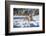 Siberian Tiger (Panthera Tigris Altaica), Montana, United States of America, North America-Janette Hil-Framed Photographic Print