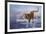 Siberian Tiger-Leonard Pearman-Framed Giclee Print