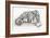 Siberian Tiger-Jan Henderson-Framed Art Print