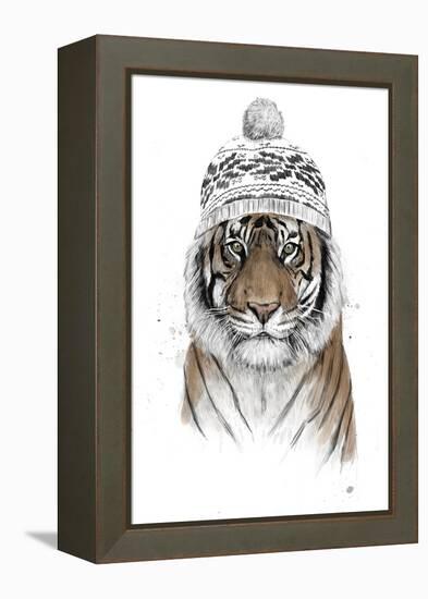Siberian Tiger-Balazs Solti-Framed Premier Image Canvas