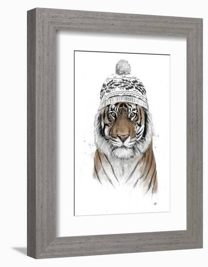 Siberian Tiger-Balazs Solti-Framed Photographic Print