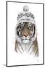 Siberian Tiger-Balazs Solti-Mounted Photographic Print