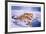 Siberian Tigers-Sydney Taylor-Framed Limited Edition