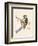 Siberian Tit,  from 'A History of the Birds of Europe Not Observed in the British Isles'-English-Framed Premium Giclee Print