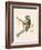 Siberian Tit,  from 'A History of the Birds of Europe Not Observed in the British Isles'-English-Framed Giclee Print