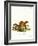 Siberian Weasel-null-Framed Giclee Print